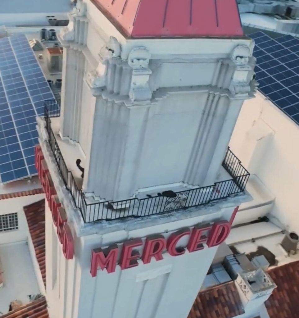 センチュリオンボート 50周年